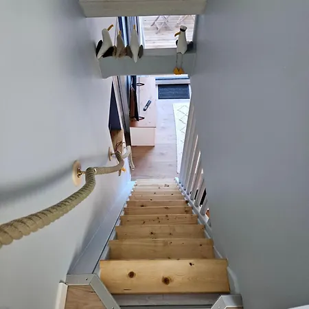 Les Mouettes Qui Caquetent Moëlan-sur-Mer