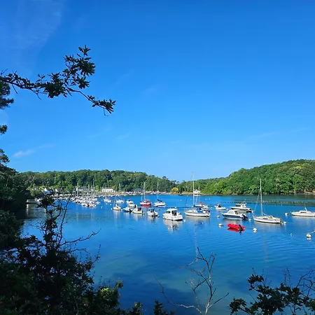 Les Mouettes Qui Caquetent Moëlan-sur-Mer